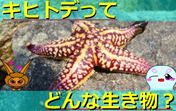 Thumbnail of post image 038